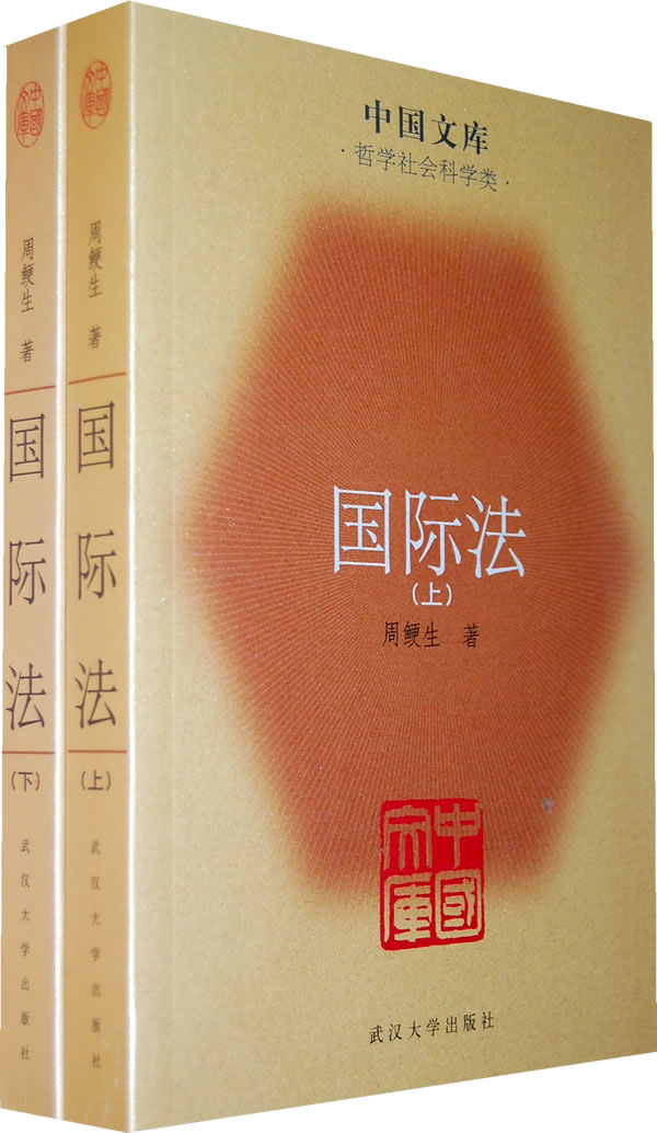 国际法上下册