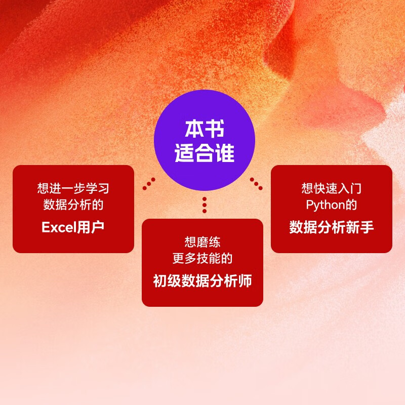 数据分析轻松进阶：从Excel到Python和R（图灵出品）