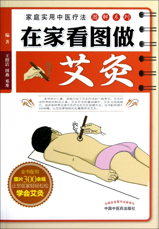 在家看图做艾灸/家庭实用中医疗法图解系列
