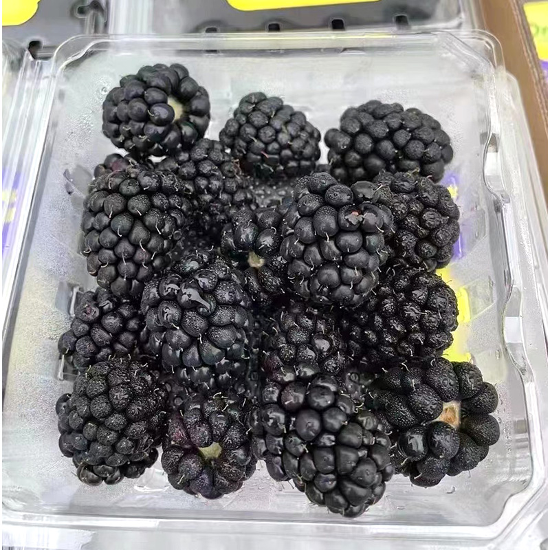丰蔬果源云南怡颗黑树莓大果新鲜浆果喜阴悬钩子孕妇新鲜水果 2盒装