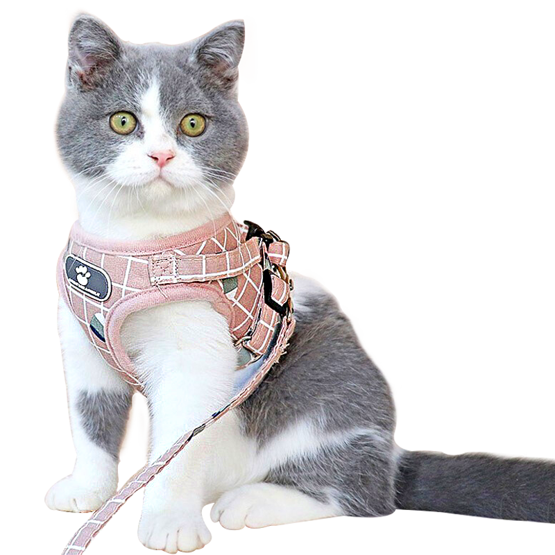 茨格曼猫咪牵引绳和胸背带,价格历史稳定销量超高