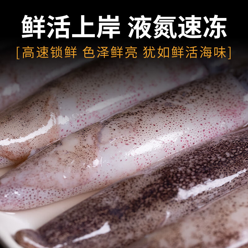 海兔子无籽鲜活冷冻新鲜小鱿鱼海兔乌贼青岛无添加笔管鱼无冰衣 1000g