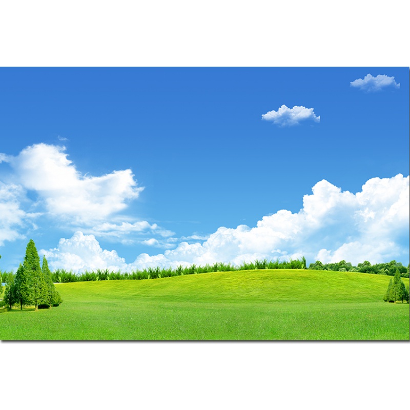 蓝天白云绿草地草原自然风景画绿色护眼清新电视背景墙贴画自粘画 横