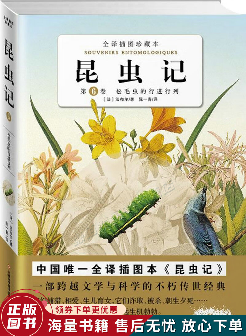 昆虫记第6卷:第六卷松毛虫的行进行列