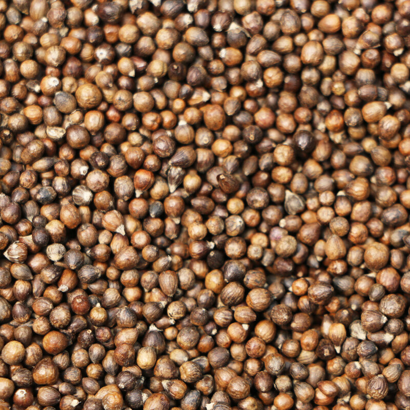 黄荆子枕头填充物枕芯布惊籽布荆仁黄金子睡头枕荆棵荆黄金籽78cm 单只5斤