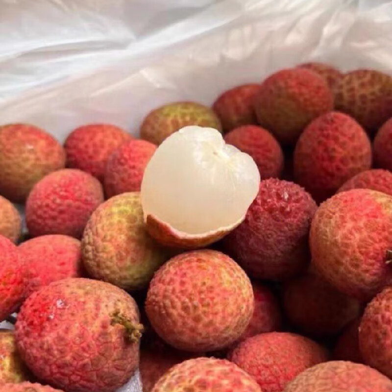 驰振2026新鲜荔枝海南桂花香荔枝现摘老树果当季水果端午送礼盒装 3斤净重约2.5斤(单果15-20g)【恒温箱+冰】