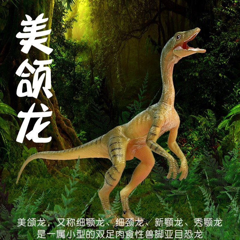 秀颚龙细颚龙儿童恐龙模型玩具仿真动物套装实心塑胶摆饰 美颌龙