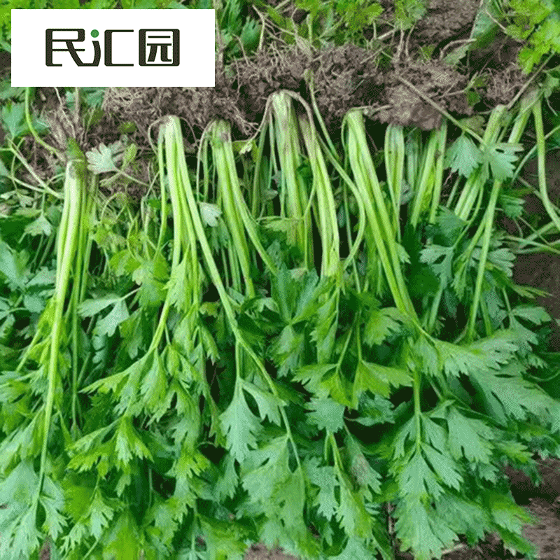 ԰߲Ӽͥ԰ļ̨ײͼֲ ۲200