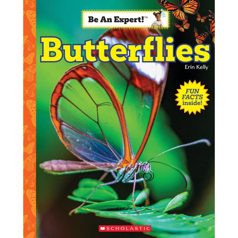 butterflies (be an expert)蝴蝶 成为专家erin kelly儿童英语词汇