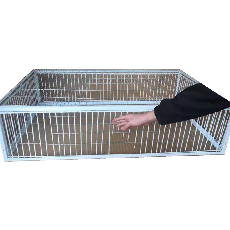 天落笼加密只进不出鸽子笼鸽子活络撞门笼自动收鸽鸽子笼鸽子 加密60