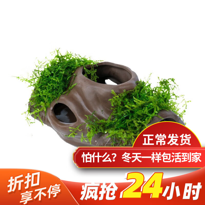 京东查看查询造景装饰历史价格走势|造景装饰价格走势图