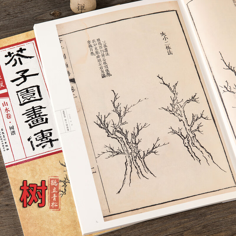 画谱自学美术国画绘画范临摹树法叶法夹叶及著色钩藤法临摹技法芥子园