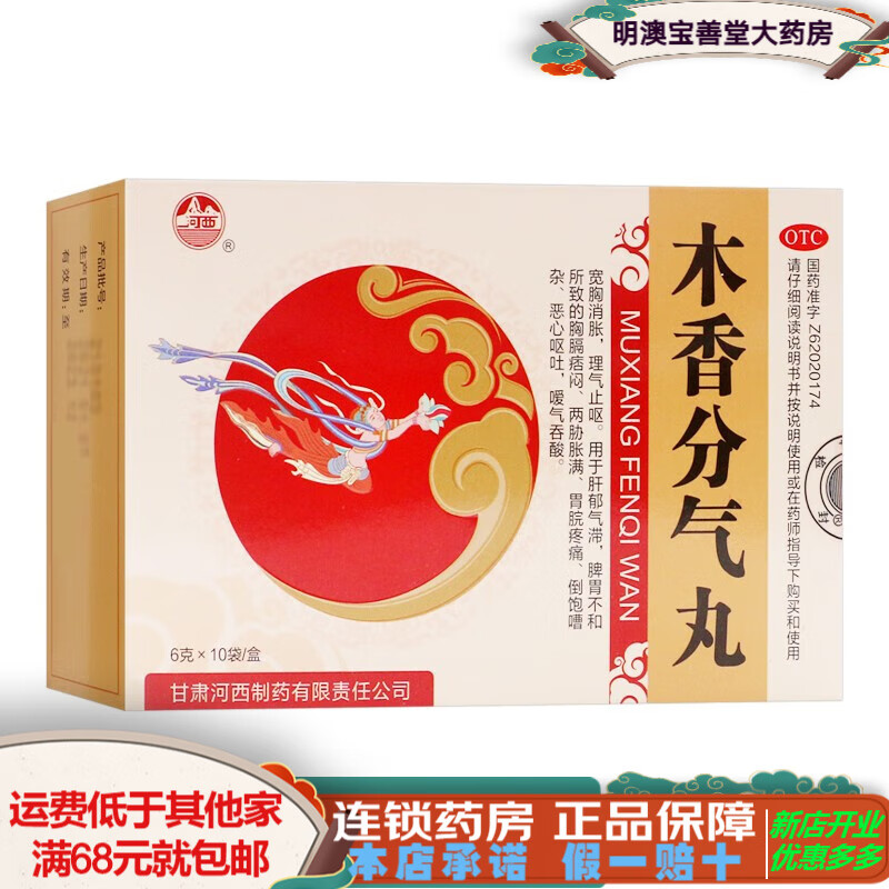 河西 木香分气丸 6g*10袋