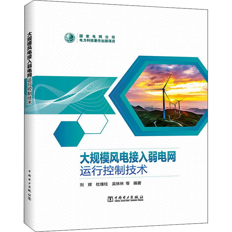 大规模风电接入弱电网运行控制技术 图书