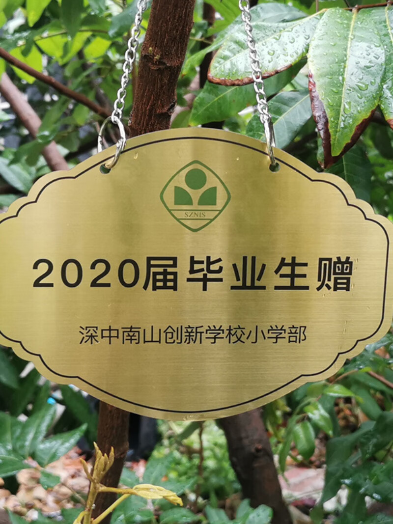 不锈钢树牌定制挂式户外树木标识二维码植物介绍悬挂保护树牌挂牌 树
