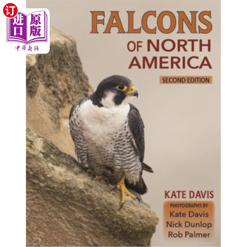 海外直订falcons of north america 北美的猎鹰