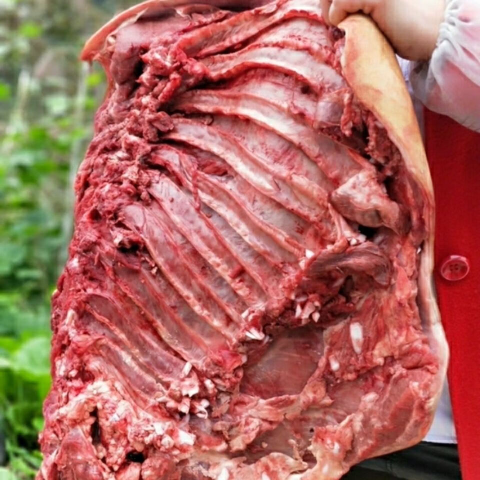 贵州现杀土黄牛肉新鲜带皮小黄牛勒条肉带皮5斤装 2500g