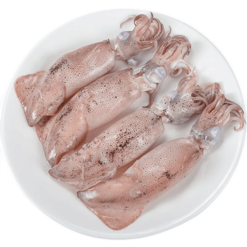 十里馋海兔子满籽新鲜笔管鱼冷冻1000g 带籽籽乌贼小鱿鱼海鲜水产软足