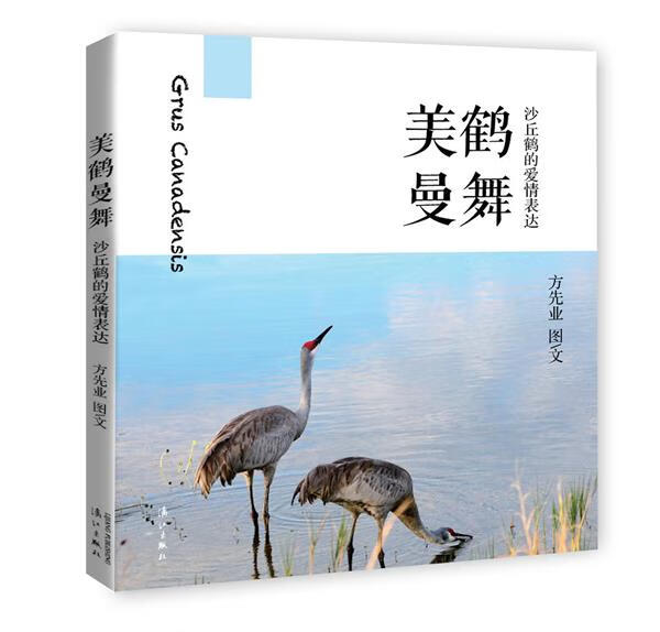 美鹤曼舞【正版图书】