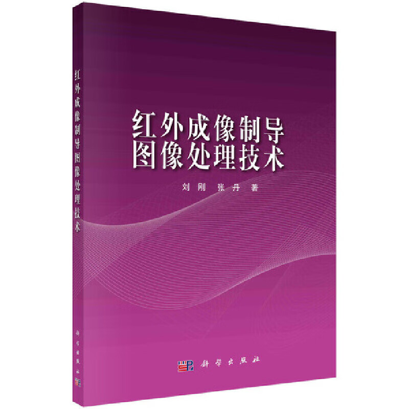 红外成像制导图像处理技术