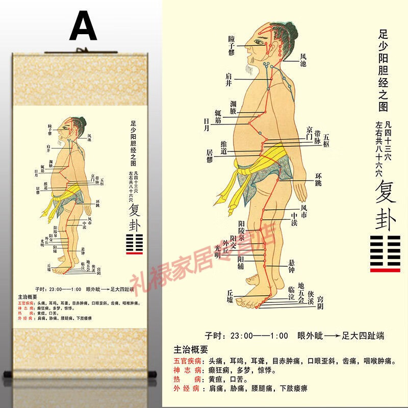 杏之淇十二经络图卷轴挂画诊所装饰画中医养生推拿针灸人体穴位养生馆