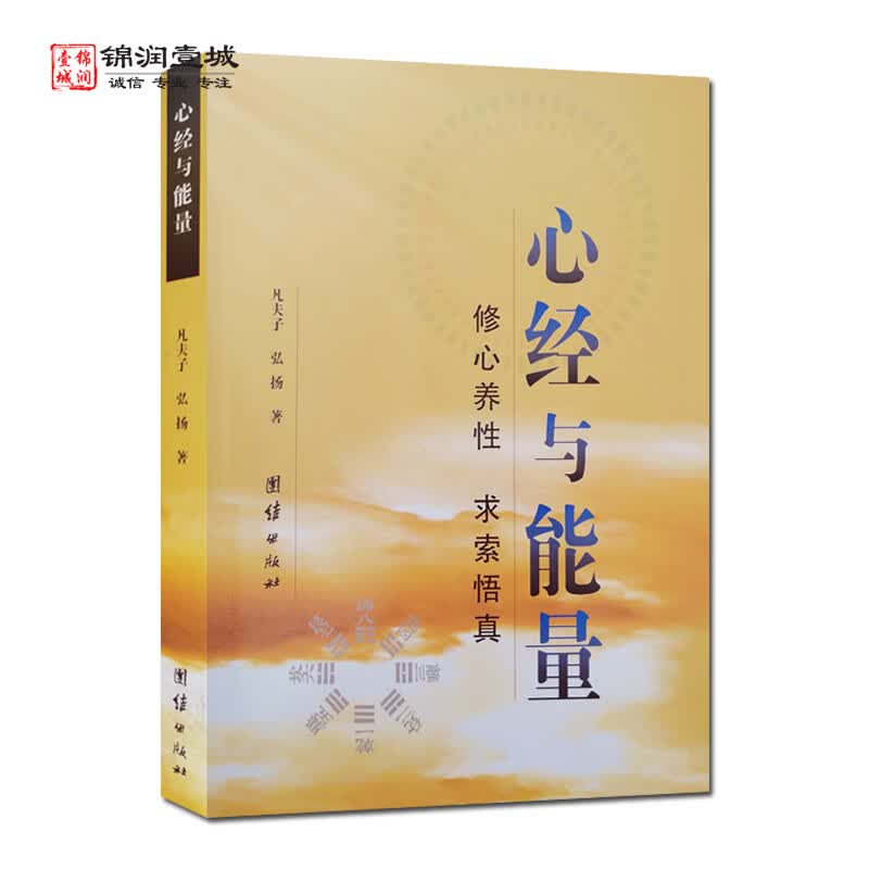 包邮 心经与能量 凡夫子 著 团结出版社