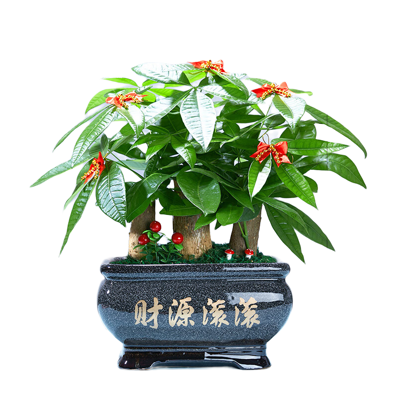 ���ڲ�������ޱ������������׮�в����ڴ�����ֲ��ҵ����ǰ̨��Ž�Ǯ���ļ����� ���÷�����+�ڽ��Դ������ �����Ժ� 86Ԫ