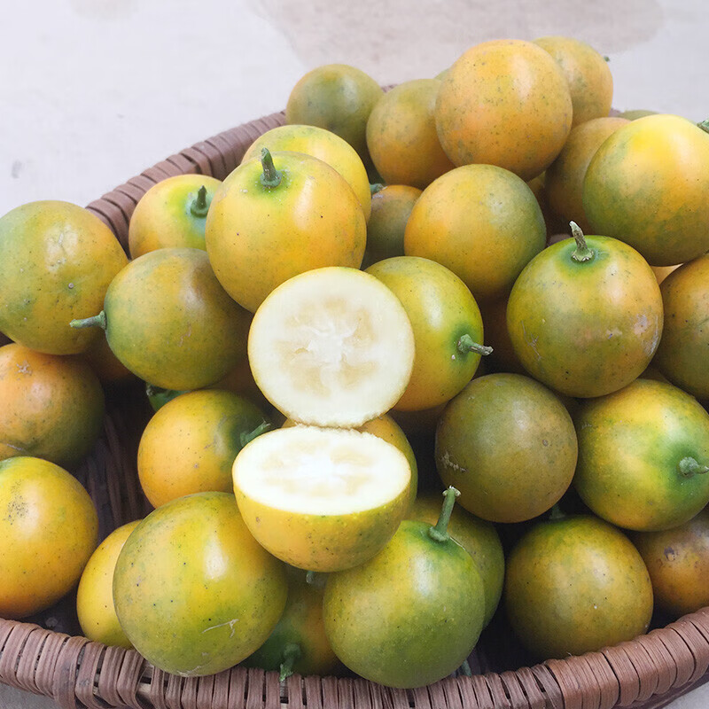 桂林脆皮金桔当季新鲜水果广西阳朔黄青皮纯甜滑皮小金橘整箱团建新年