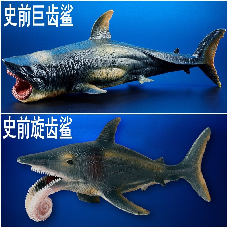 巨齿鲨鱼大白儿童玩具动物模型沧龙海王龙史前海洋生物远古海洋巨兽