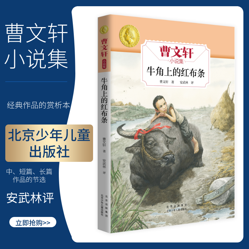 小说集 牛角上的红布条 北京少年儿童出版社