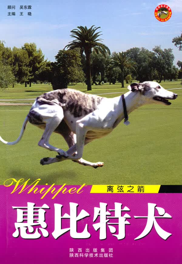 世界名犬-惠比特犬【正版图书】