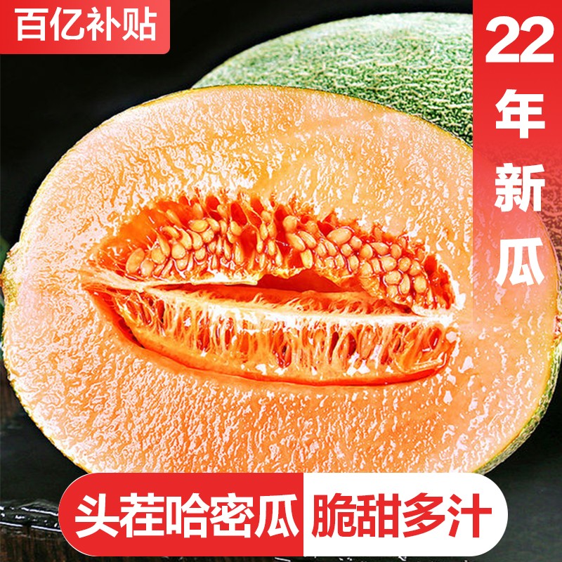 哈密瓜 国产网纹瓜 当季甜脆新鲜水果 西州蜜瓜晓蜜25号 甜瓜香瓜 4.5-5斤