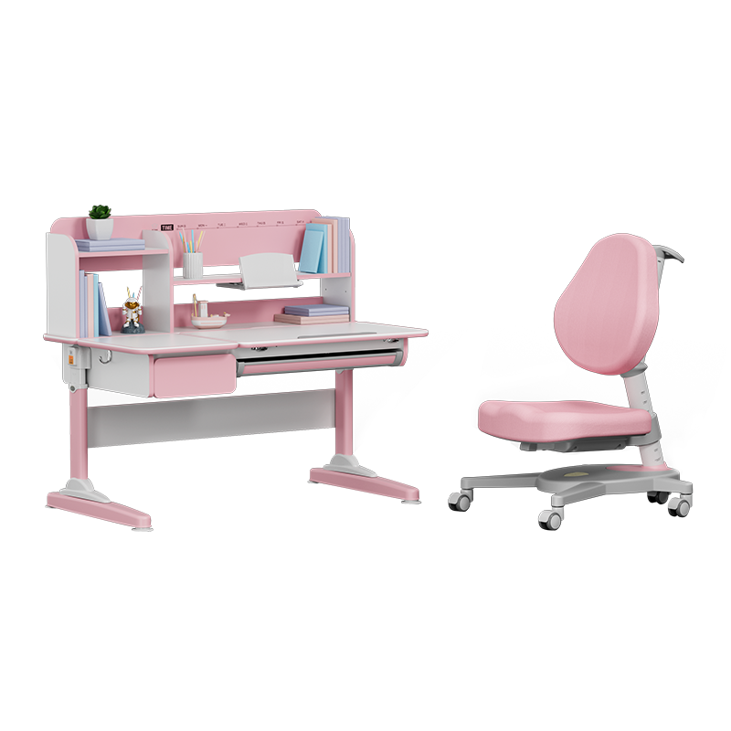 博士有成（BSUC） 儿童学习桌套装写字桌椅家用小书桌可升降调节电脑桌桌 公益新秀1.2米+801粉色套装