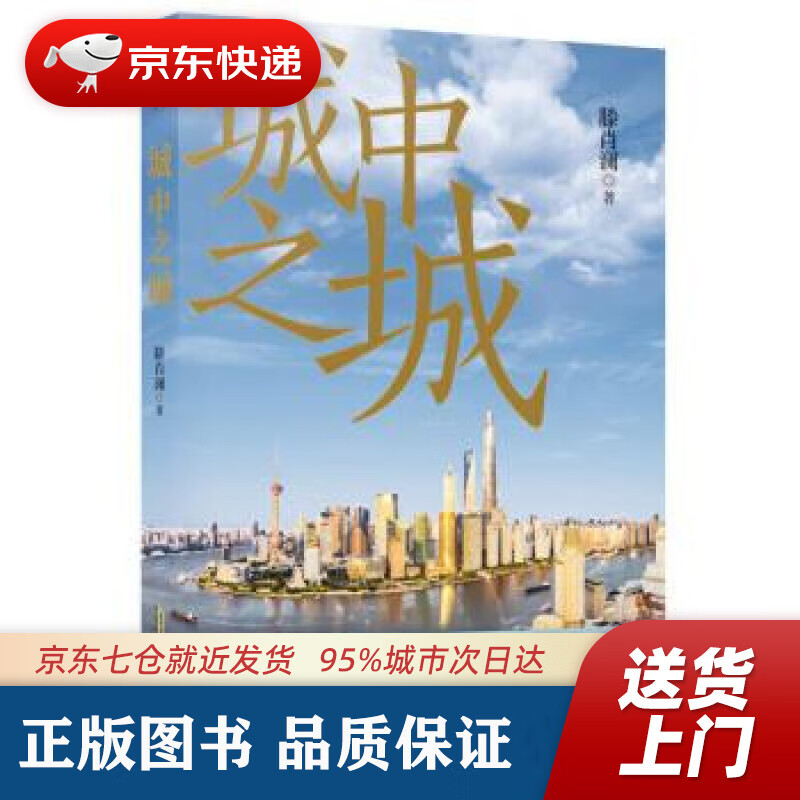 城中之城 滕肖澜 安徽文艺出版社 978
