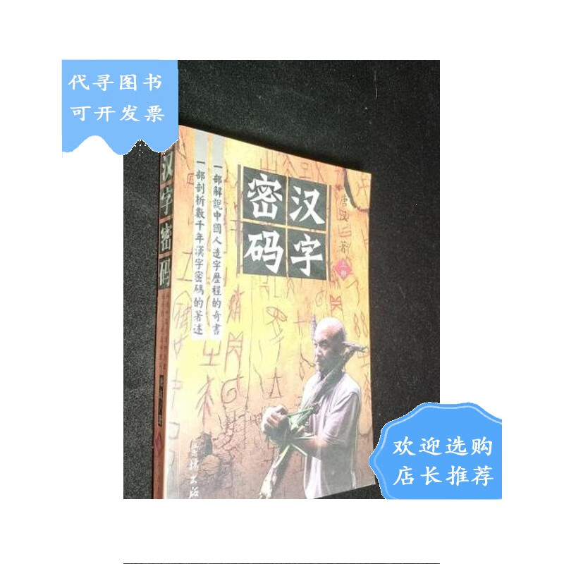 【二手八成新】汉字密码(上)