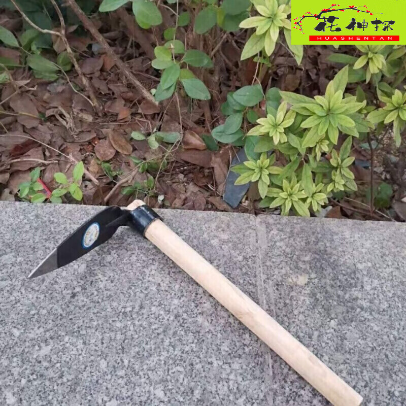 小锄头带把木柄小锄头种菜种花户外锄草神器 带柄小尖头锄 1把