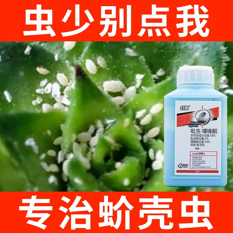 吡虫噻嗪酮蚧壳虫药介壳虫梨木虱专用吡蚜虫噻嗪酮柑橘果树杀除虫剂多肉兰花卉必治农药杀虫剂 20g