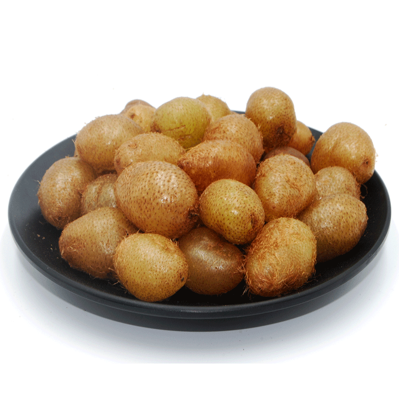 石黄皮 蕨果 凤凰蛋马骝卵新鲜现挖1000g