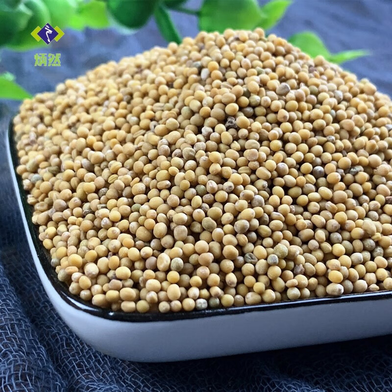 炳然白芥子500克g生白介子辣菜籽芥菜籽中药材茶磨白芥子粉