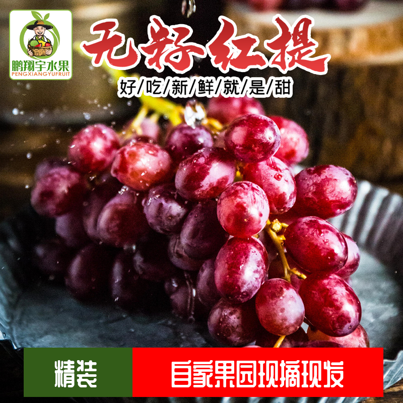 鹏翔宇【顺丰包邮】正宗山西克伦生无籽红提葡萄脆甜一整箱新鲜孕妇水果 净重2斤克伦生【尝鲜装】