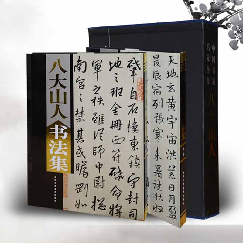 中国书画名家全集：八大山人书法集（精装典藏版 全2册）