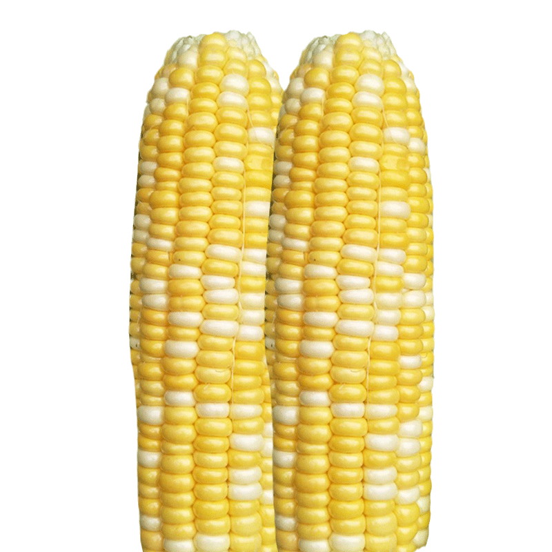 ��������˫ɫˮ�������������������������ش��ͺ����ļ���Ŵ����ճ�� ����89����500�ˡ������ס� 159.9Ԫ