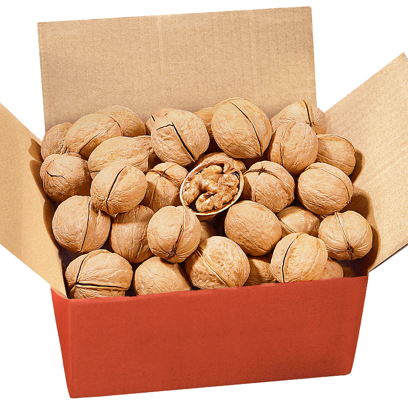 ���ڲ�����ÿ��ʱ���½�ֽƤ������찢����185��Ƥ���Ǵ��и���ͯ������ʳʳƷ 2�����ԭζ����1000g*1��