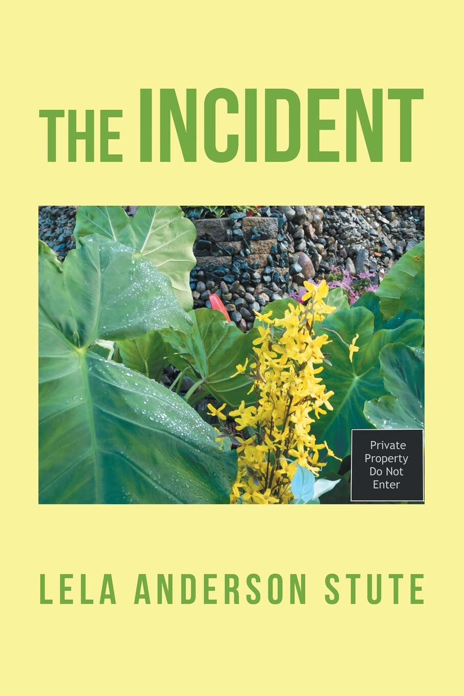 【预售 按需印刷】the incident