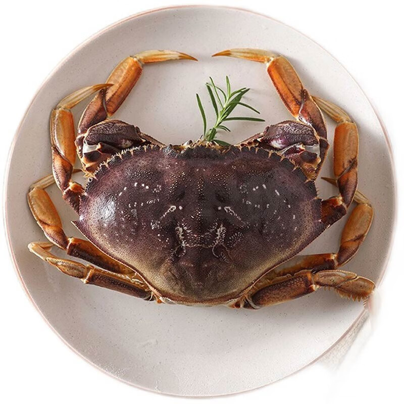 【活鲜】鲜活珍宝蟹 太子蟹 700-800g/只海鲜水产 加拿大 海鲜 1.8斤