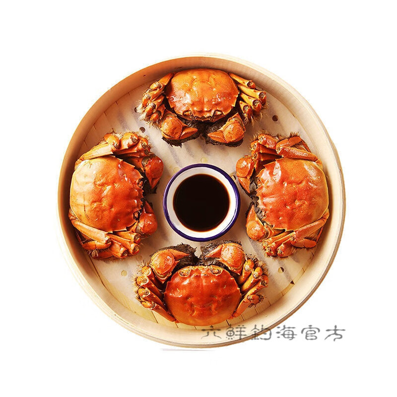 【活蟹】六鲜钓海  苏州太湖大闸蟹 鲜活母螃蟹活体特大海鲜礼盒 2.