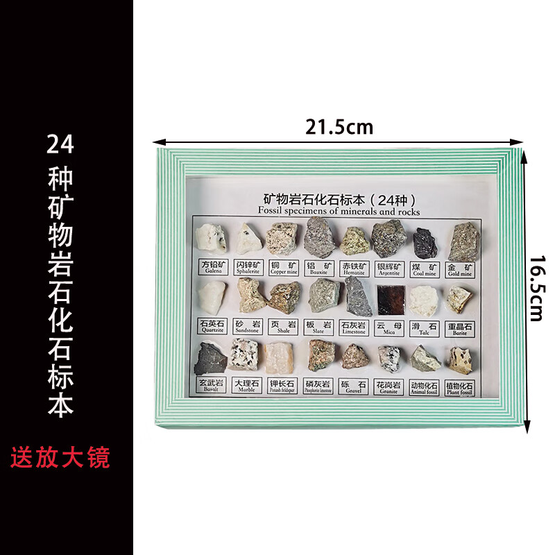 京京 科学实验小学课堂教学种类多样简洁活跃思维矿物岩石化石标本