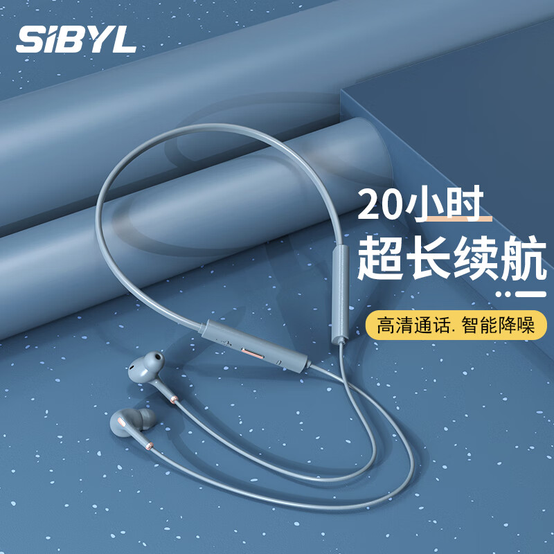 查看蓝牙无线耳机历史价格的App|蓝牙无线耳机价格走势图