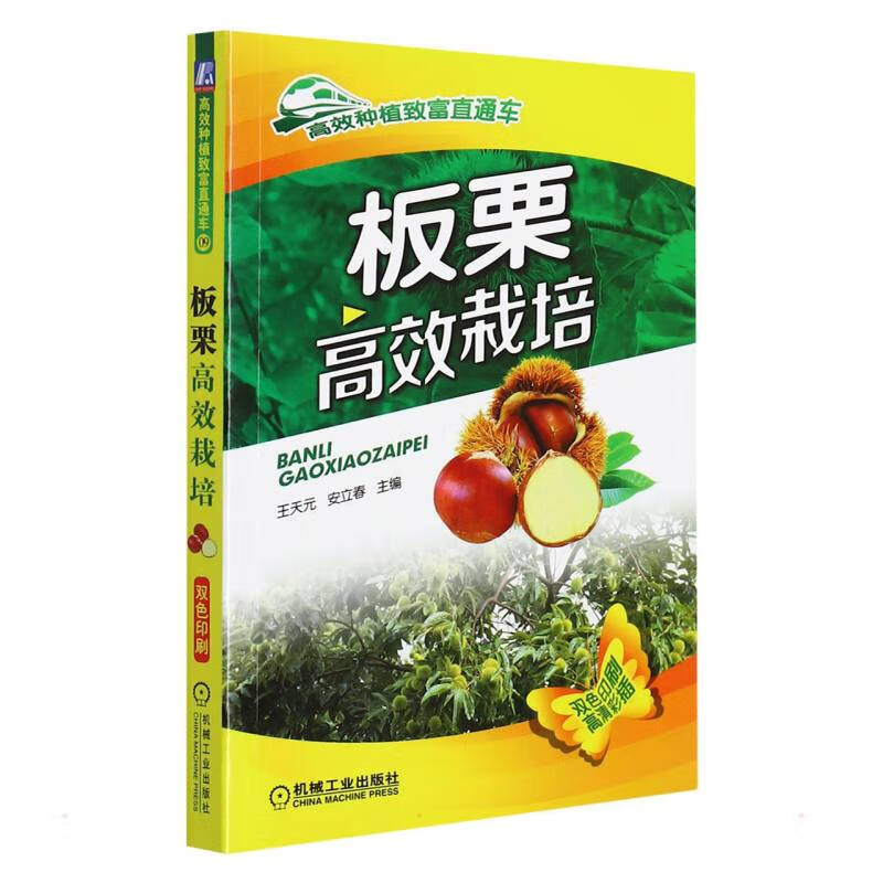 板栗高效栽培 王天元 安立春 主编 书籍