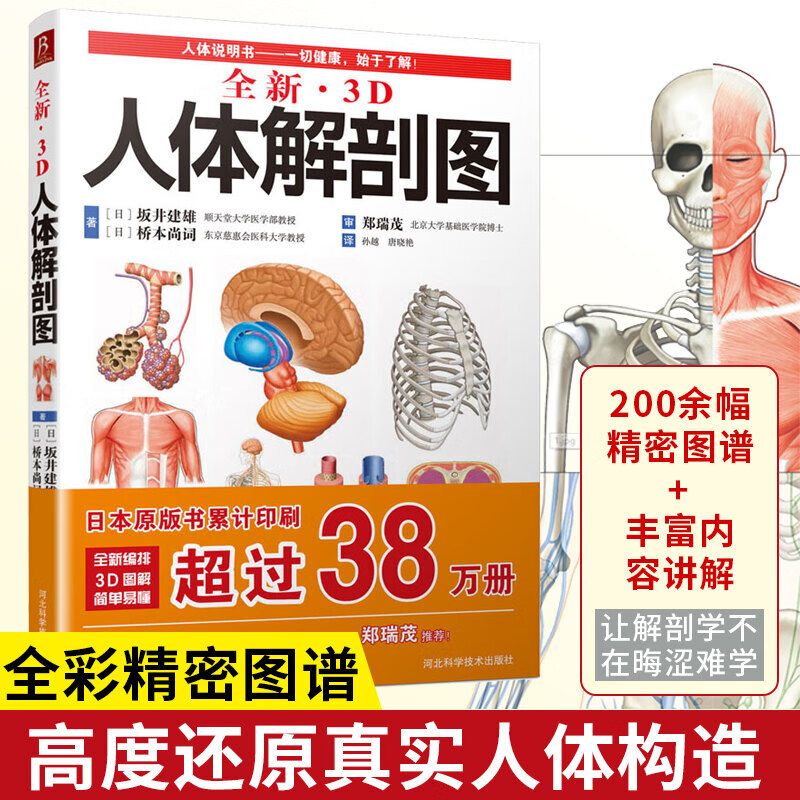 全新3D人体解剖图 人体肌肉解剖运动解剖学断层局部解剖学图谱解剖书教材卫生解剖生理学基础医 3D人体解剖图